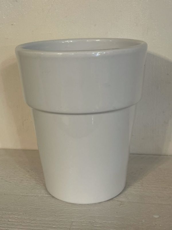 Vaso bianco per Phalenopsis